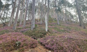 Bergtour Kreidenfeuer - Aufstieg