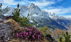 Bergtour Kreidenfeuer - Blick zum Spitzkofel