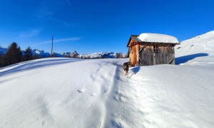 Skitour Gabesitten - Aufstieg Skitour Gabesitten - Aufstieg