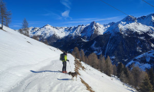 Skitour Gabesitten - Abfahrt mit Regenstein, Arnhörner, Rappler, Gölbner Skitour Gabesitten - Abfahrt mit Regenstein, Arnhörner, Rappler, Gölbner