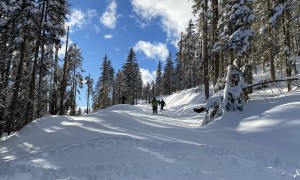 Skitour Tullenkogel - Abfahrt