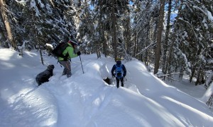 Skitour Tullenkogel - Abfahrt
