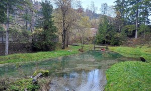 Bergtou Feuer am Bichl - Start beim Weidenbrünnl