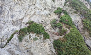Bergtou Feuer am Bichl - Abstieg, seilversicherter Rückweg