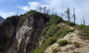 Bergtou Feuer am Bichl - Abstieg, Rückblick