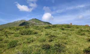 Bergtour Sillianer Hütte - beim Sattel Bergtour Sillianer Hütte - beim Sattel