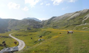 Kombination Seekofel - Rückblick Sennesalm
