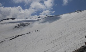Hochtour Zuckerhütl - Aufstieg Sulzenauferner