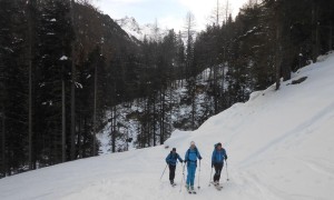 Magerstein - Aufstieg über Forstweg