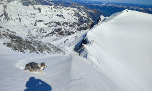 Skihochtour Johannisberg - Gipfelsieg, Blick zum Hohen Riffl