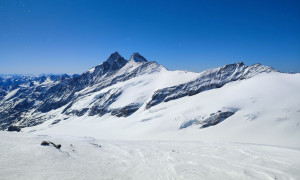 Skihochtour Johannisberg - Gipfelsieg Johannisberg mit Blick zum Großglockner und Glocknerwand