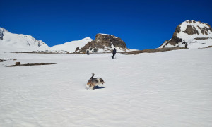 Skihochtour Johannisberg - Abfahrt mit Mittleren und Großen Burgastall mit Oberwalderhütte