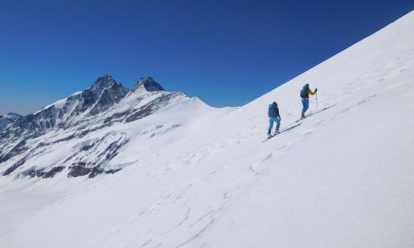 Skihochtour Hohe Riffl & Johannisberg - Kärnten (Tourbild)