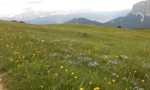 Bergtour Peitlerkofel - Almlandschaft