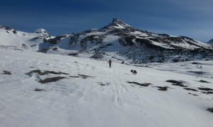 Skitour Hochgasser - Aufstieg Venedigerblick