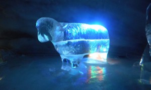 Skihochtour Breithorn - im Eispalast Skihochtour Breithorn - im Eispalast