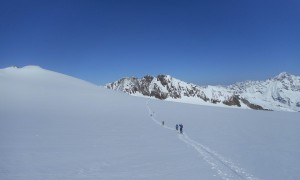 Skitour Zuckerhütl - Rückblick Sulzenauferner
