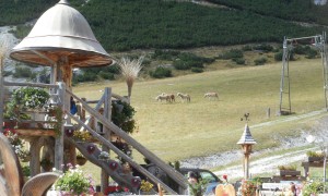 Bergtour Sassongher - Edelweisshütte