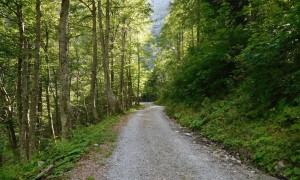 Etappe 1 - Aufstieg Obere Valentinalm