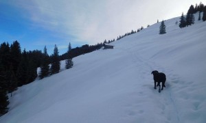 Skitour Pflugsberg - Pölsneralm