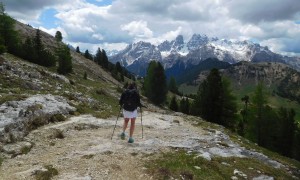 Bergtour Dürrenstein - Abstieg, Blick zur Cristallo-Gruppe