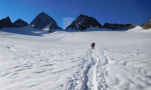 Piz Buin - Ochsentaler Gletscher