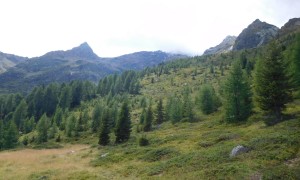 Bergtour Polinik - beim Abstieg Blick zurück, der Gipfel leider immer im Nebel