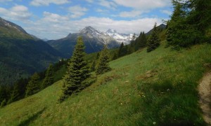 Bergtour Seespitze - Aufstieg, Blick zum Hochgall