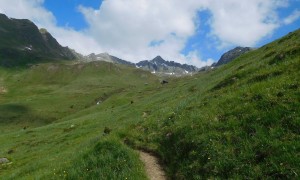 Bergtour Seespitze - kurz vor der Seespitzhütte mit Gipfelblick