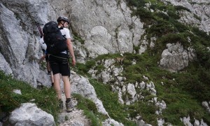 Klettersteig Triglav - Bamberg Weg, tierischer Besuch