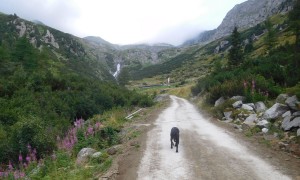 Hochtour Schwarzenstein - Zustieg Daimeralm