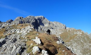 Bergtour Hochstadel - Aufstieg Rudnigweg