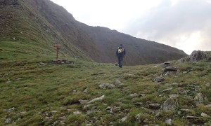 Villgrater Höhenhalbmarathon - Halsscharte