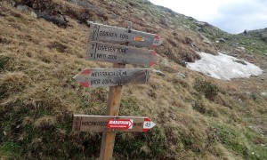 Villgrater Höhenhalbmarathon - beim Gsieser Törl