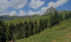 Kombination Großer Rettenstein - Rückblick Stangenalm und Gipfel