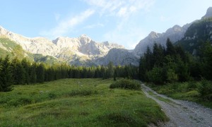 Bergtour Schönfeldspitze - Zustieg Freithofalm, Blick zur Schönfeldspitze und Buchauerscharte