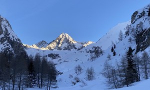 Skihochtour Burgwartscharte - Lucknerhaus, Blick zum Glockner