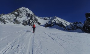 Skihochtour Burgwartscharte - über das Ködnitzkees