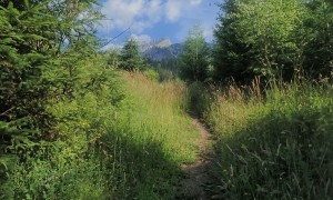 Bergtour Kammspitze - Aufstieg