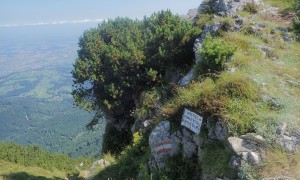 Bergtour Traunstein - Aufstieg Hernlersteig, beim Ausstieg
