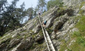 Bergtour Traunstein - Abstieg Naturfreundesteig