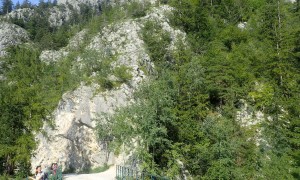 Bergtour Traunstein - Abstieg Naturfreundesteig, beim Fahrweg