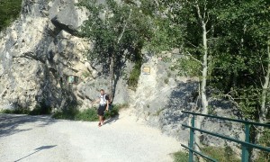 Bergtour Traunstein - Abstieg Naturfreundesteig, beim Fahrweg