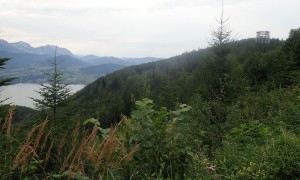 Bergtour Katzenstein - kurz vor dem Baumwipfelpfad