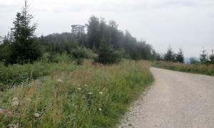 Bergtour Katzenstein - kurz vor dem Baumwipfelpfad