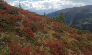 Bergtour Mulleter Seichenkopf - es herbstelt