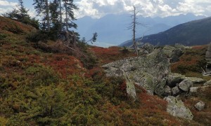 Bergtour Mulleter Seichenkopf - es herbstelt