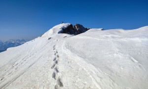Skihochtour Hochgall - kurz vor dem Wintergipfel