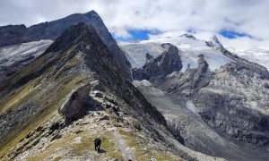 Bergtour Wildenkogel - beim Löbbentörl mit Blick zur Kristallwand