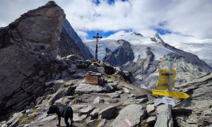 Bergtour Wildenkogel - beim Löbbentörl